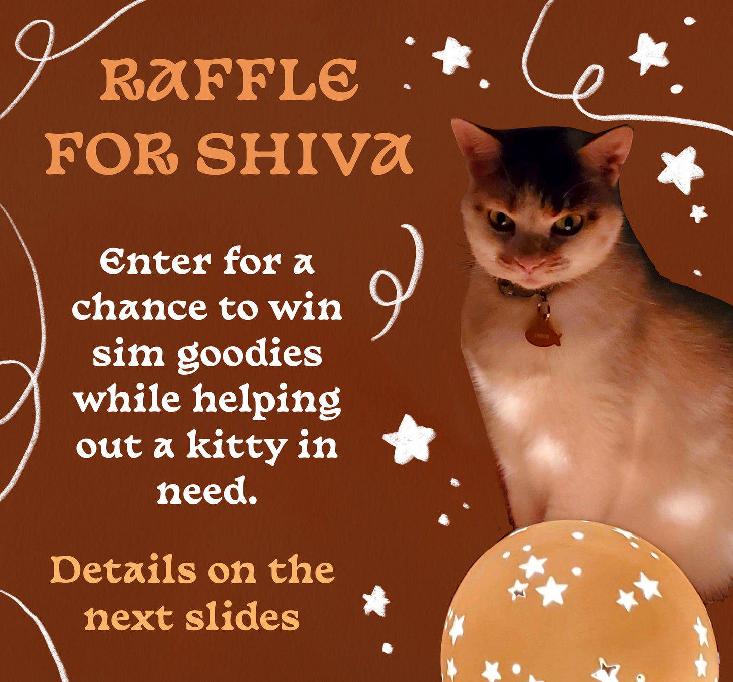 Shiva Raffle Ticket