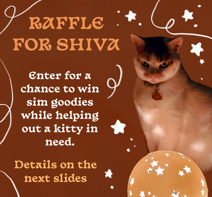 Shiva Raffle Ticket